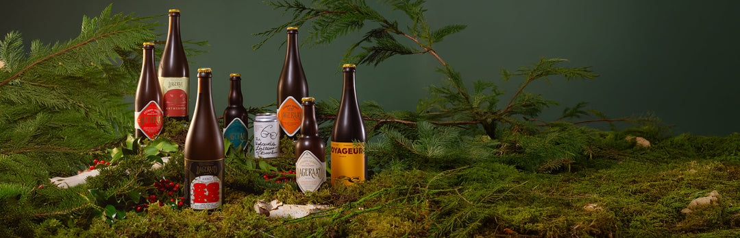 2025 Holiday Collection